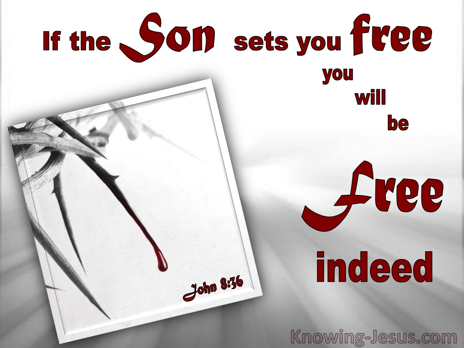 John 8 36 Meaning John 8 36 Meaning